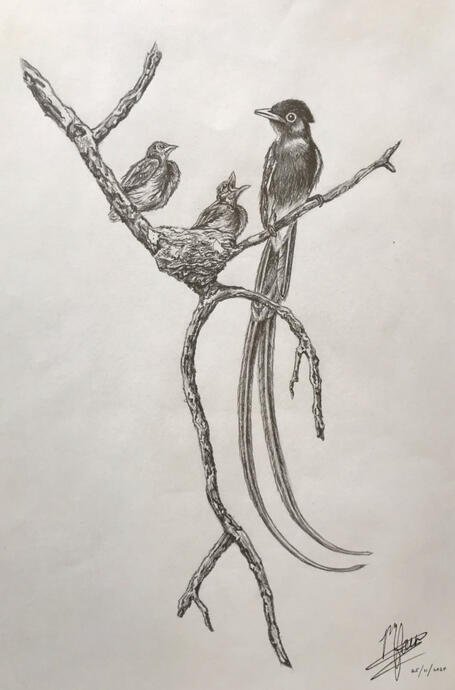 Bird mother and chicks